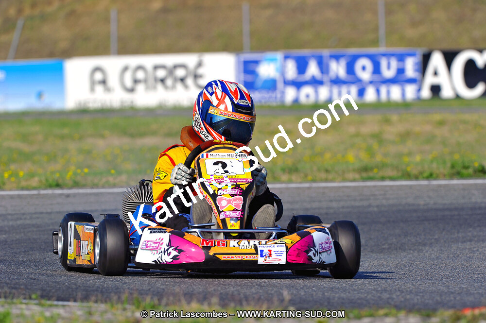DSC_ (942).jpg