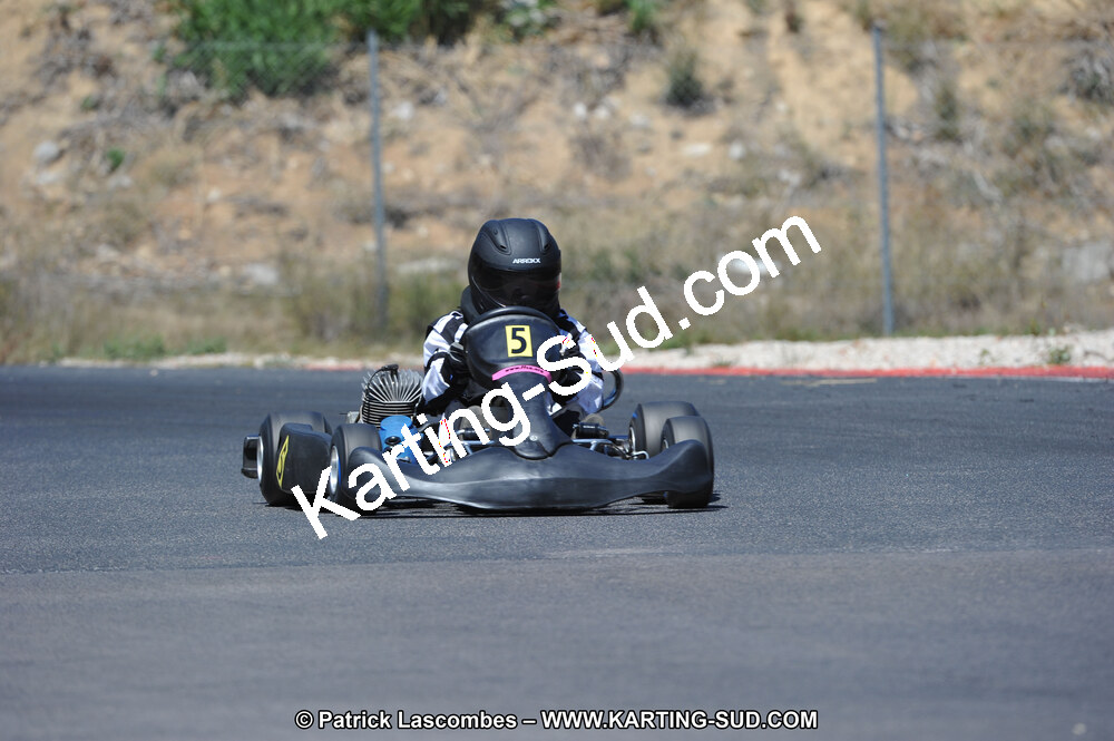 DSC (337).JPG