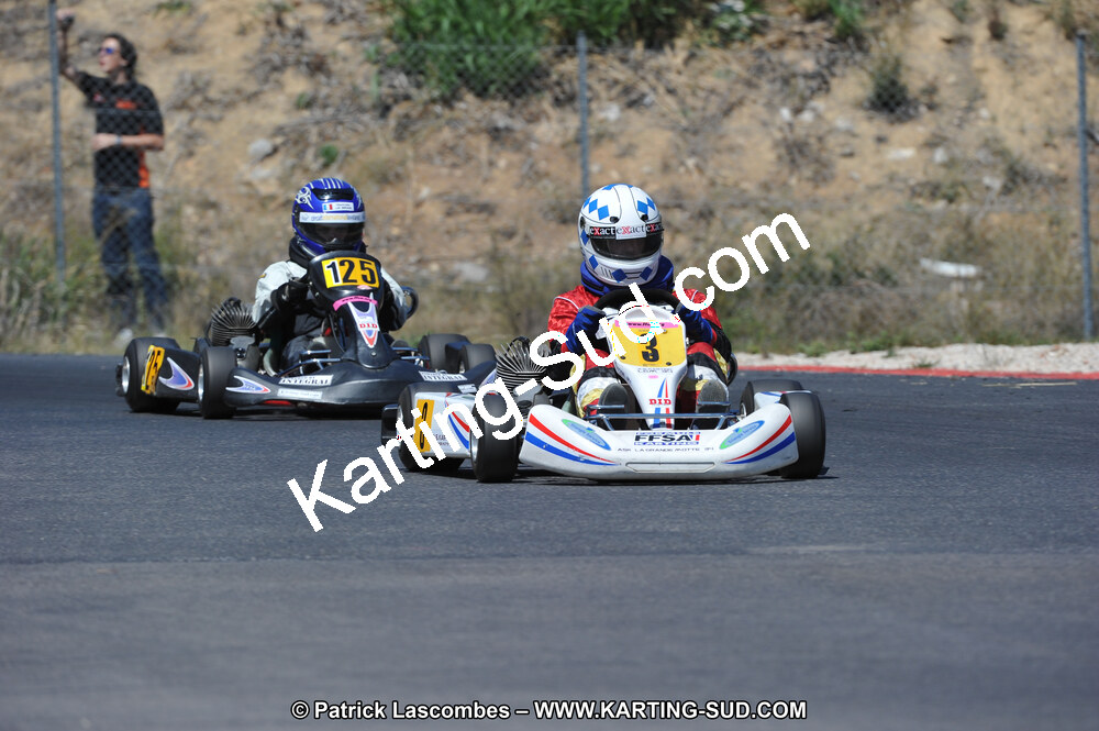 DSC (341).JPG