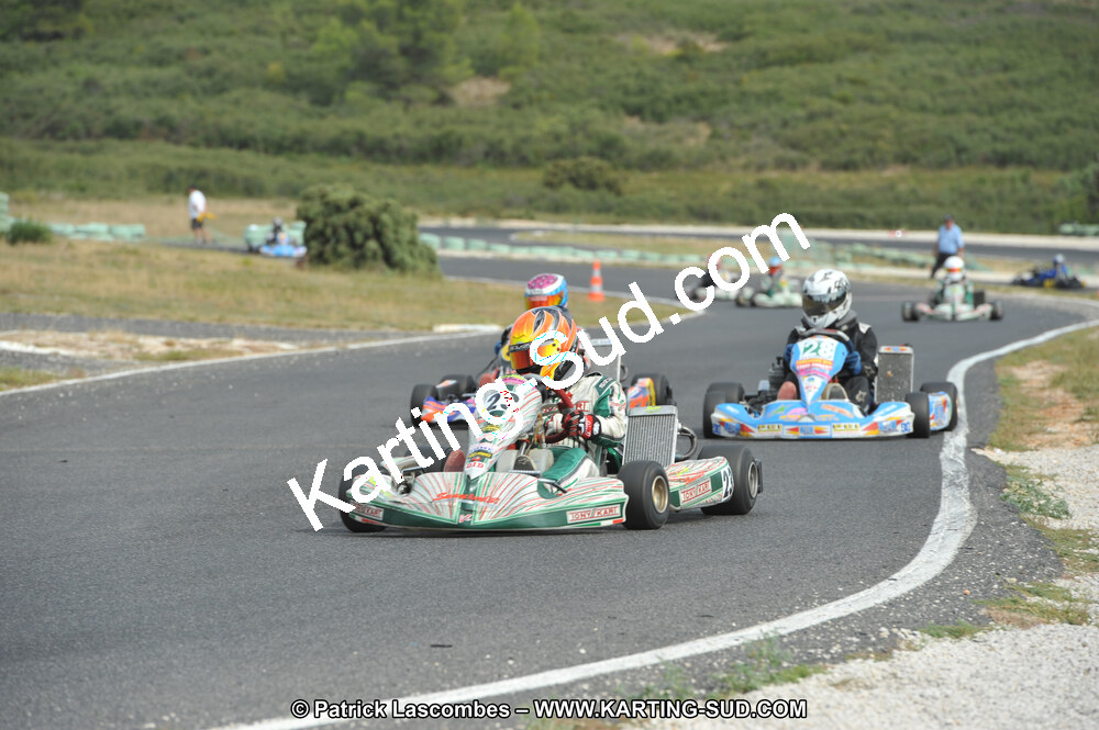 DSC (3650).JPG