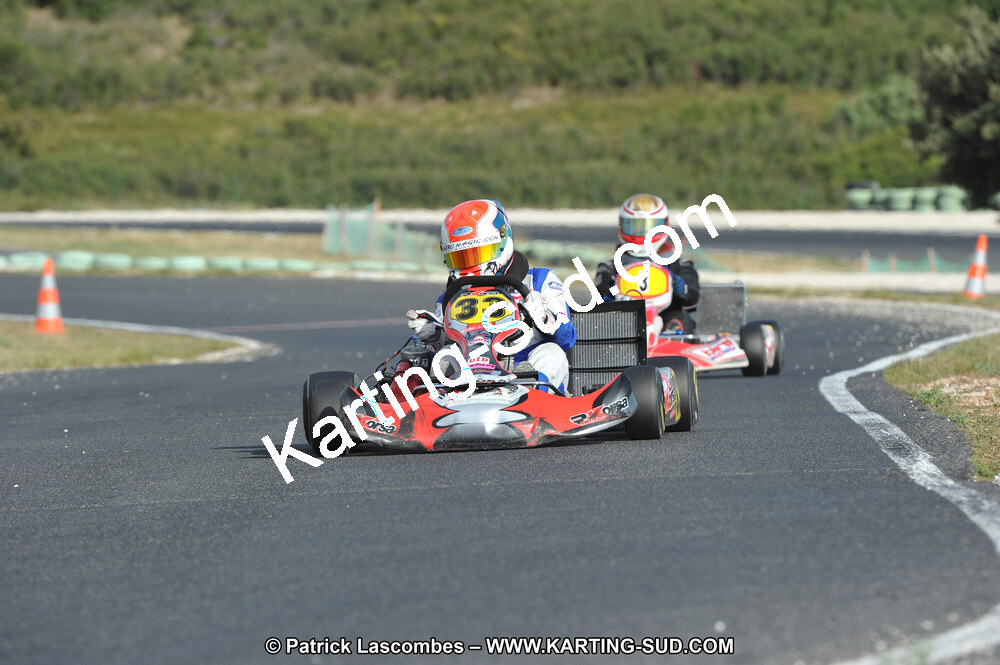 DSC (3957).JPG