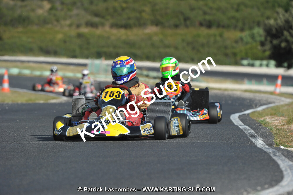 DSC (4022).JPG