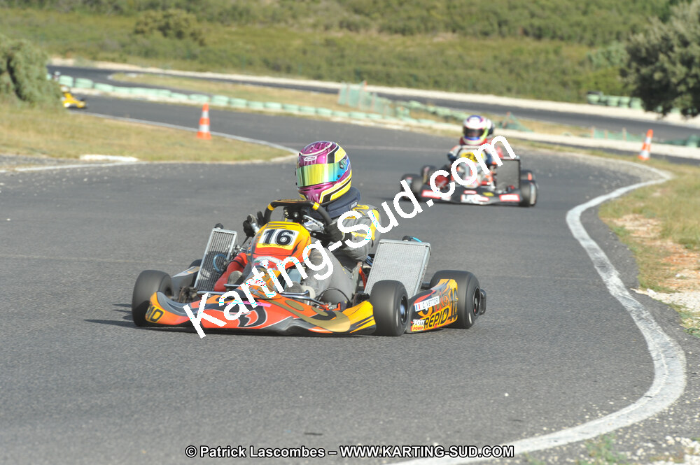 DSC (4038).JPG