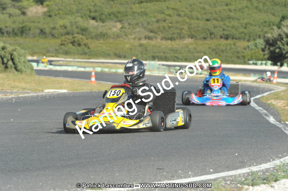 DSC (4051).JPG