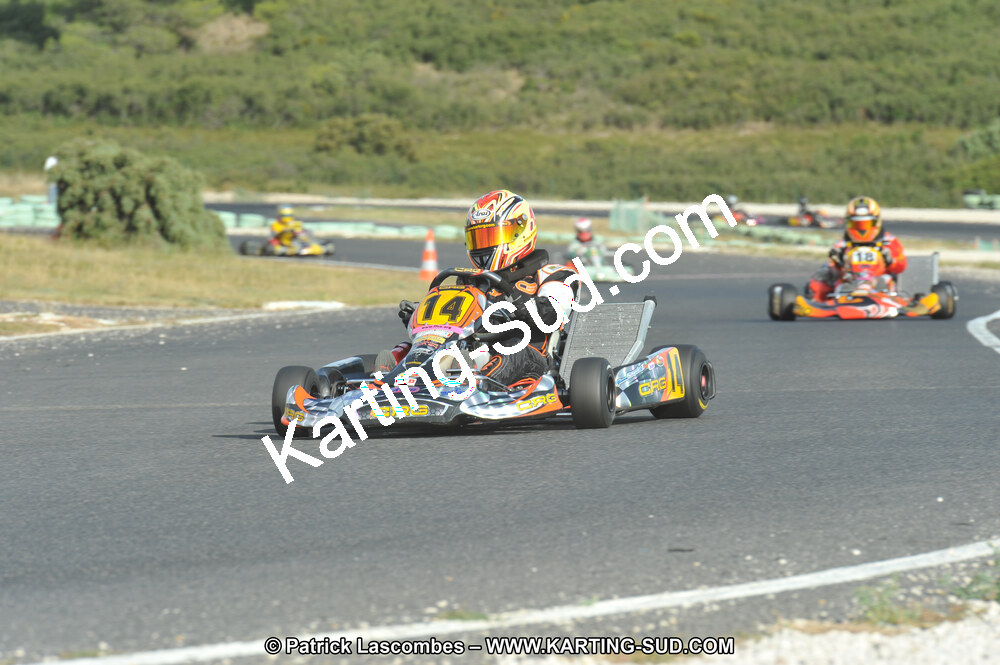 DSC (4084).JPG