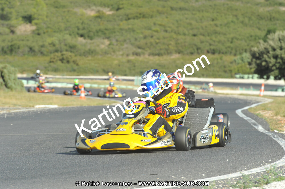 DSC (4133).JPG