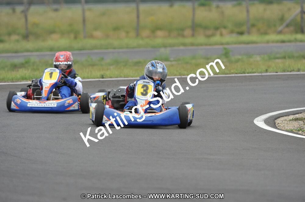 DSC_7667.JPG