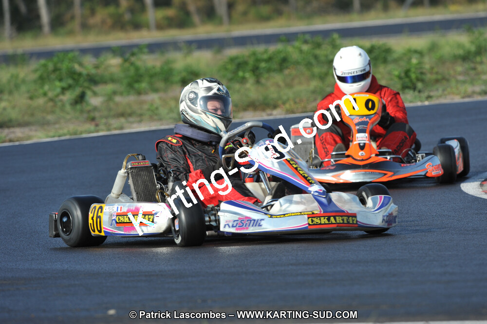DSC_7730.JPG