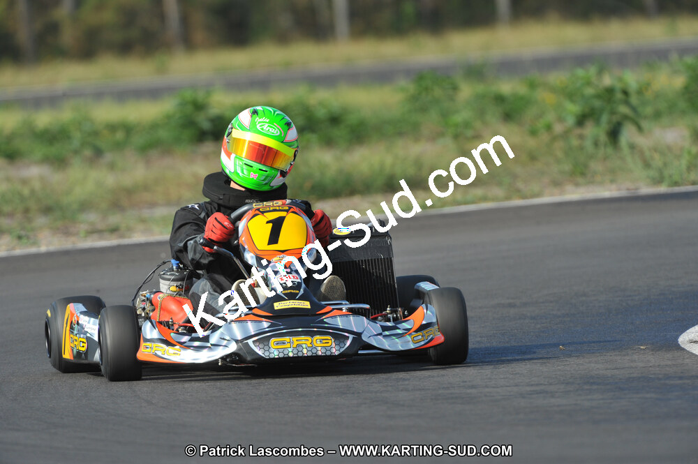 DSC_7936.JPG