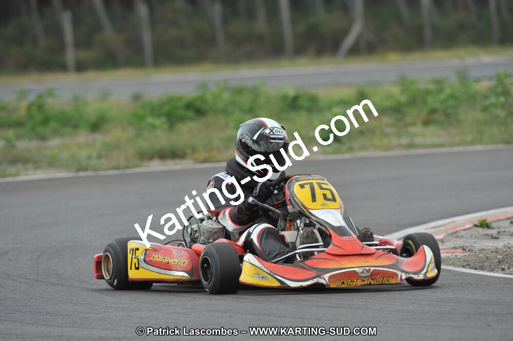 DSC_7961.JPG