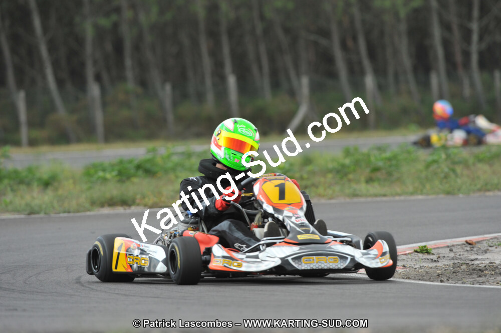 DSC_7988.JPG