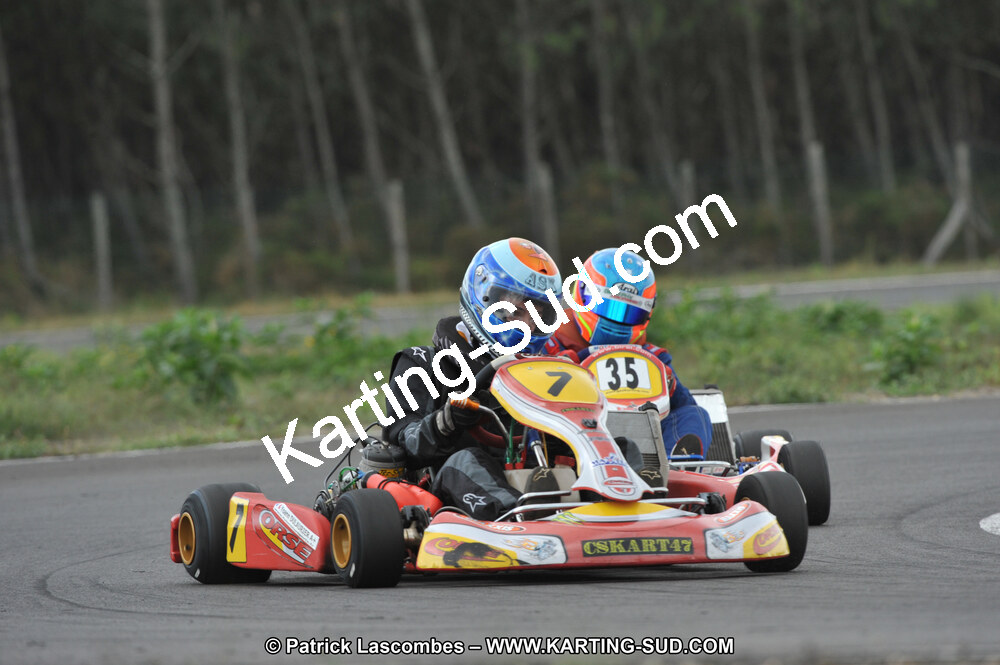 DSC_7991.JPG