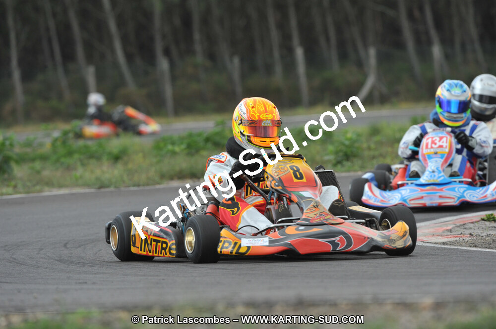 DSC_7993.JPG