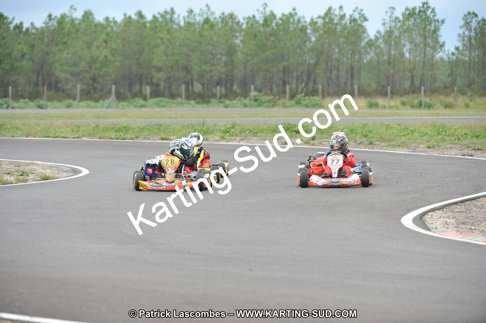 DSC_8036.JPG