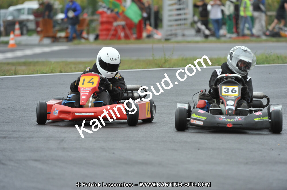 DSC_8220.JPG