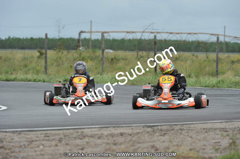 DSC_8350.JPG