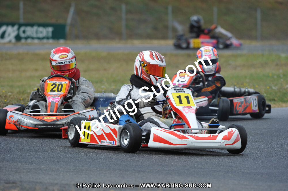 DSC_6234.JPG