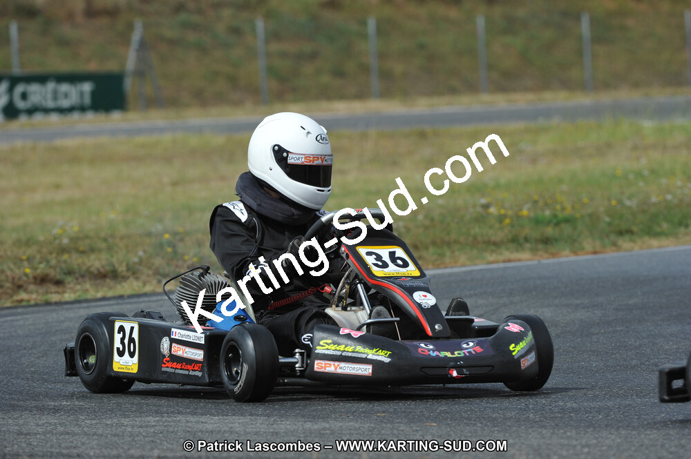 DSC_6290.JPG