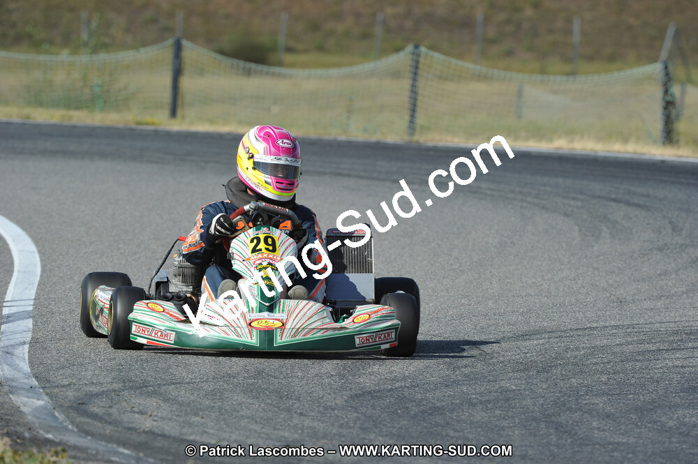 DSC_7175.JPG