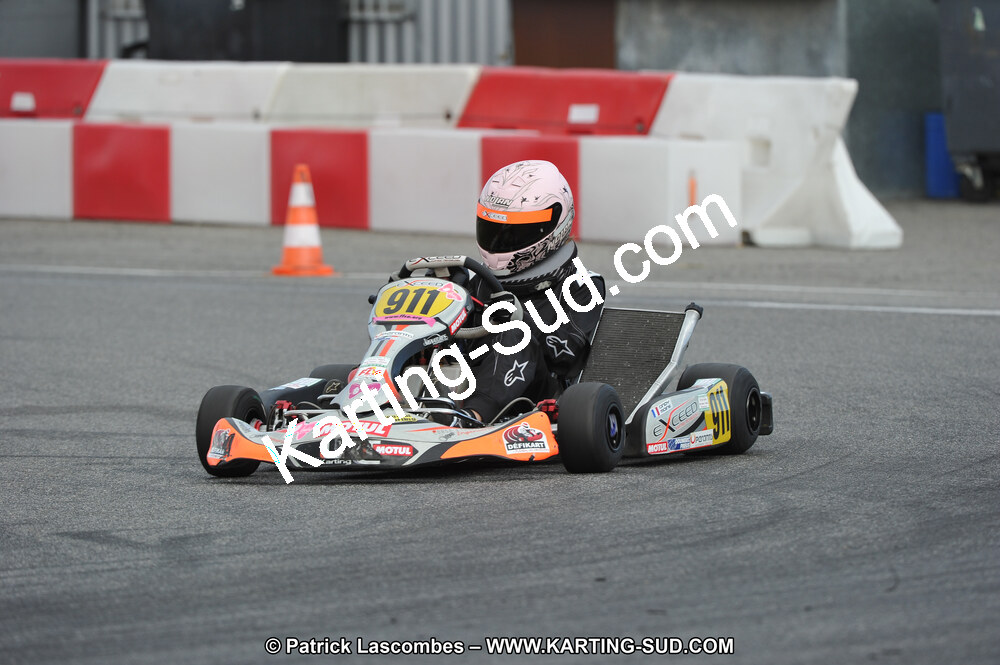 DSC_7337.JPG
