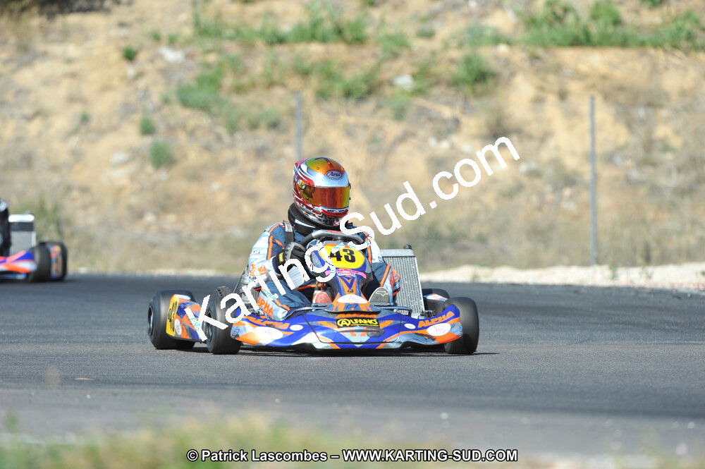 DSC_0334.JPG