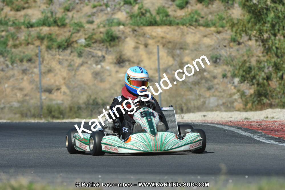 DSC_0345.JPG