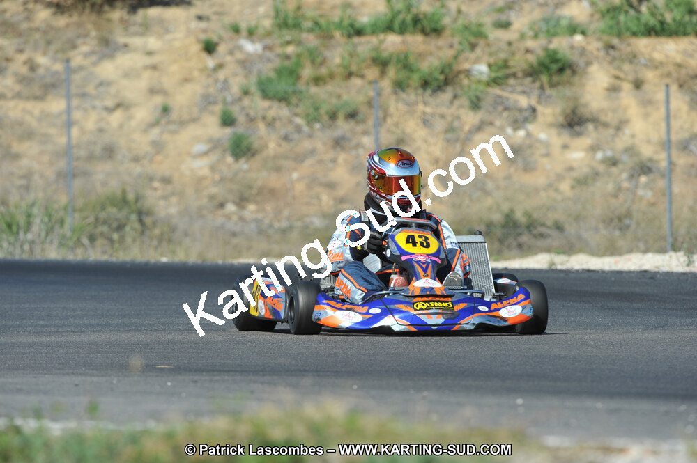 DSC_0350.JPG