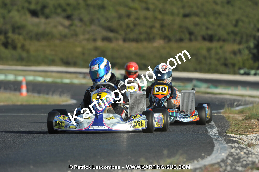DSC_1004.JPG