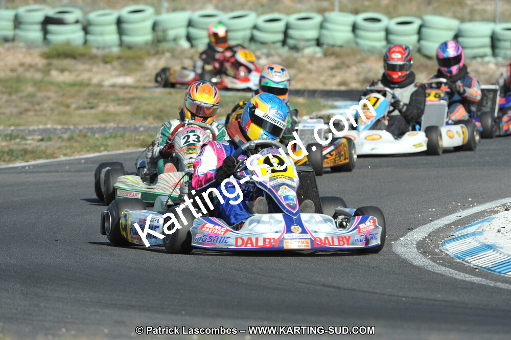 DSC_1530.JPG