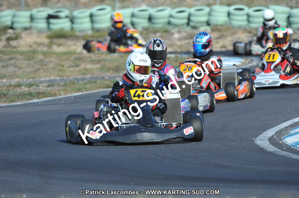 DSC_1647.JPG