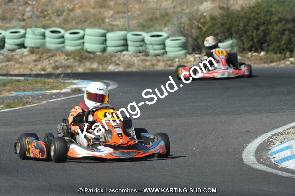 DSC_2320.JPG