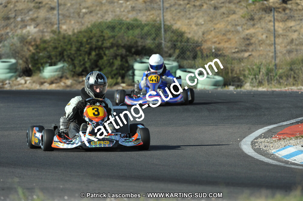 DSC_3123.JPG