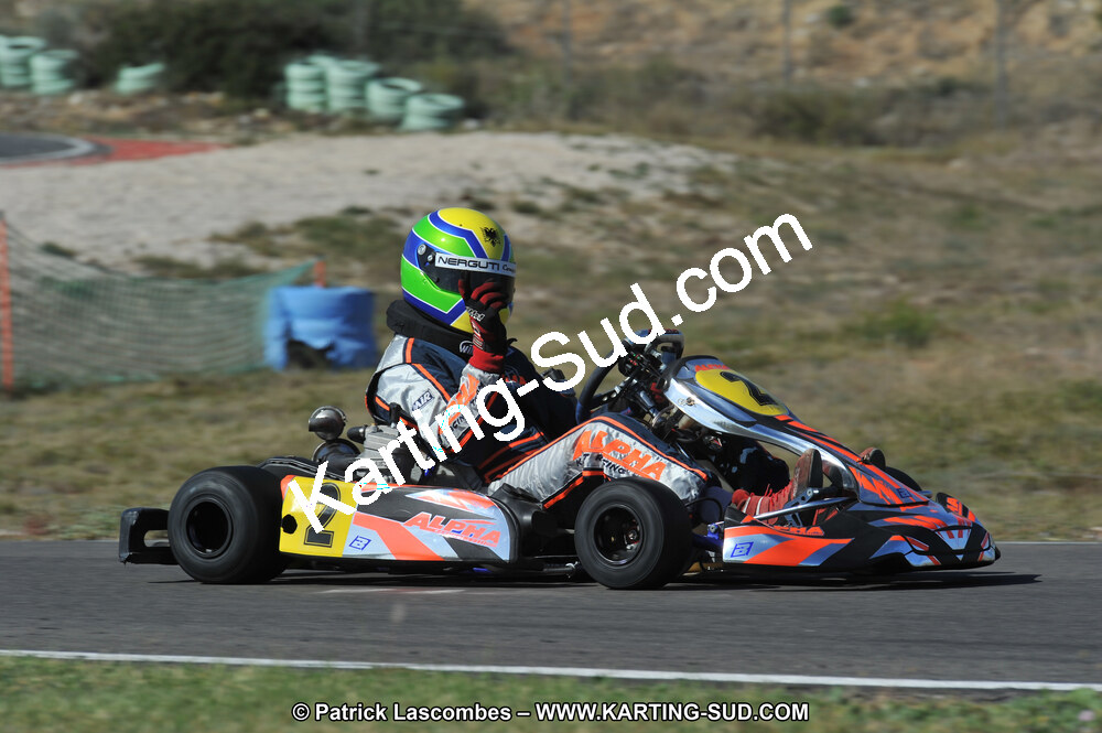 DSC_8447.JPG