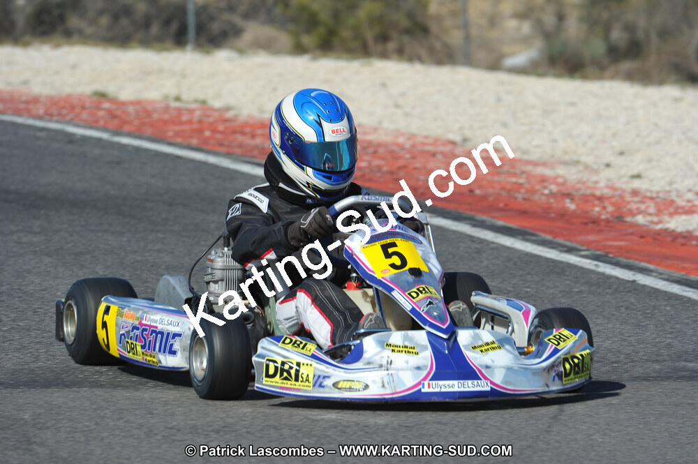 DSC_8568.JPG