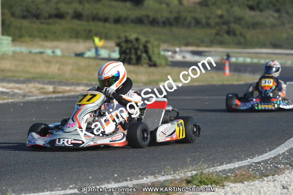 DSC_8637.JPG