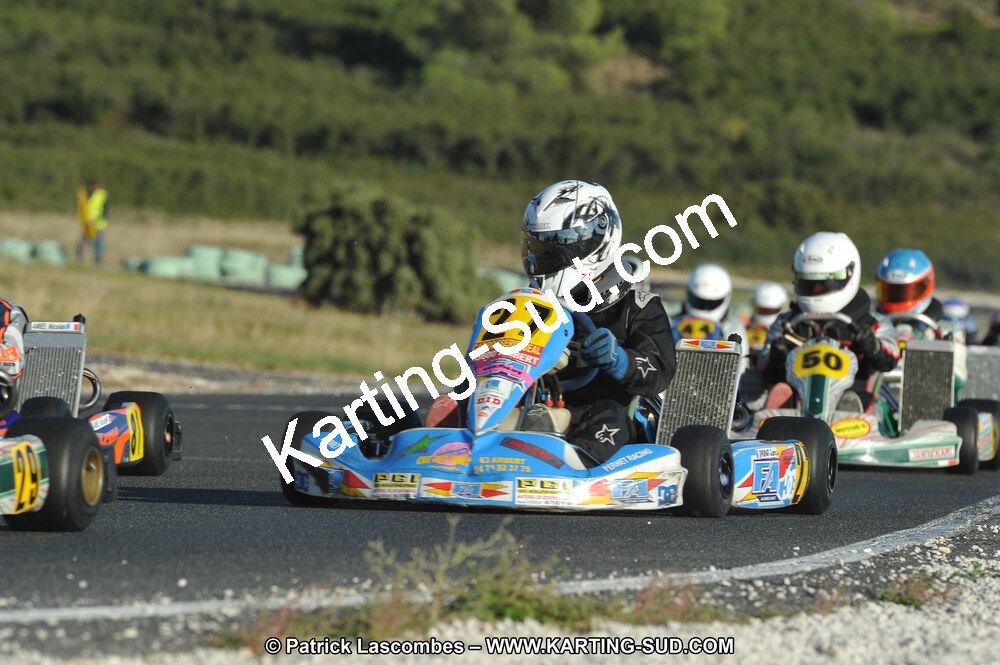 DSC_8678.JPG
