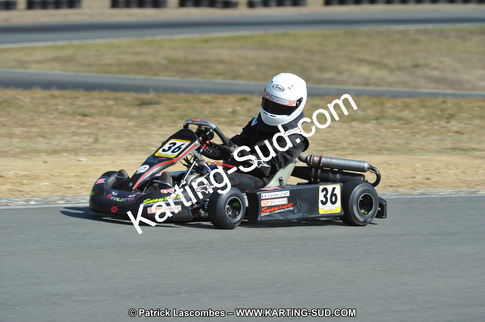 DSC_0179.JPG