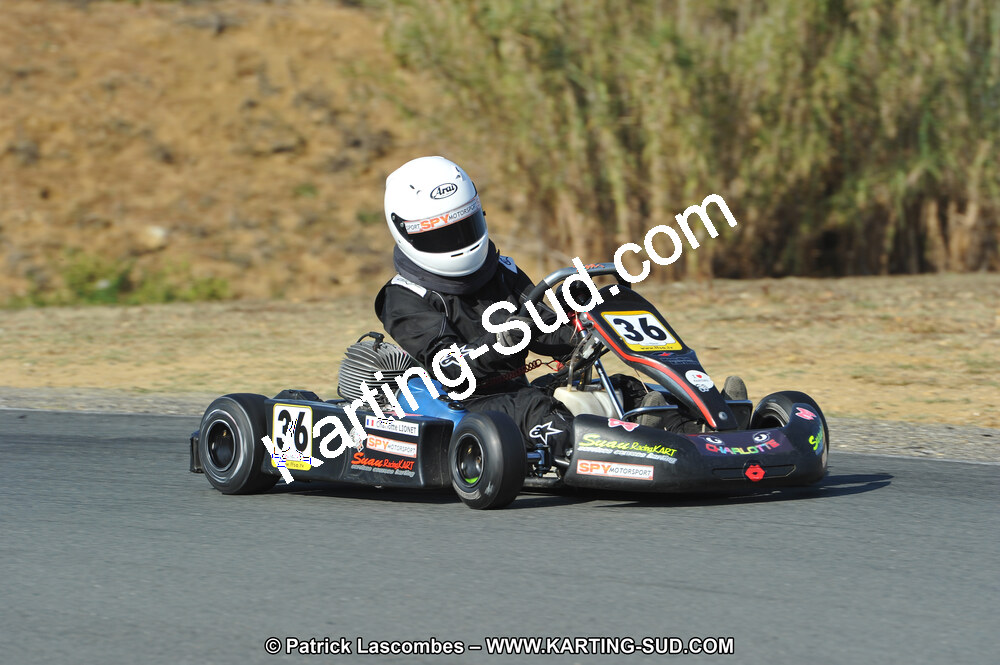 DSC_0559.JPG