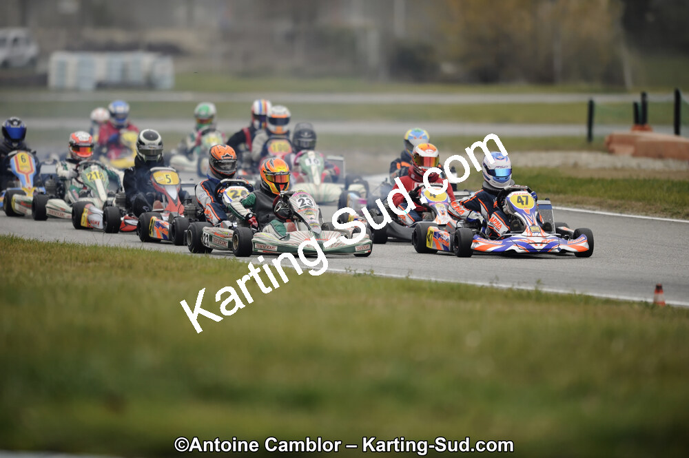 _DSC7924_DxO.jpg