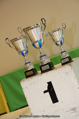 08/01/2012 : Remise des Trophées du Championnat du Sud 2012, Championnat Régional Languedoc-Roussillon 2012 et Championnat Midi-Pyrénées 2012 à Lavelanet (Photos Stéphane Agnus) 2012 — karting