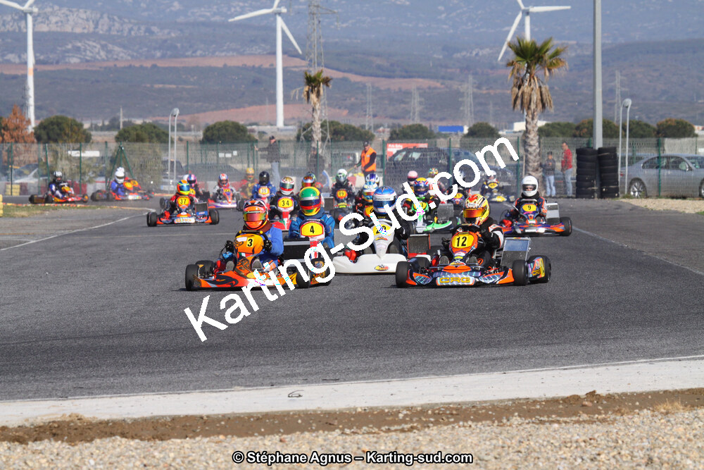 IMG_9931.JPG