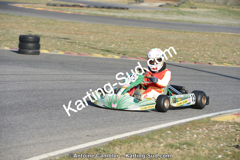 DSC_0196.jpg