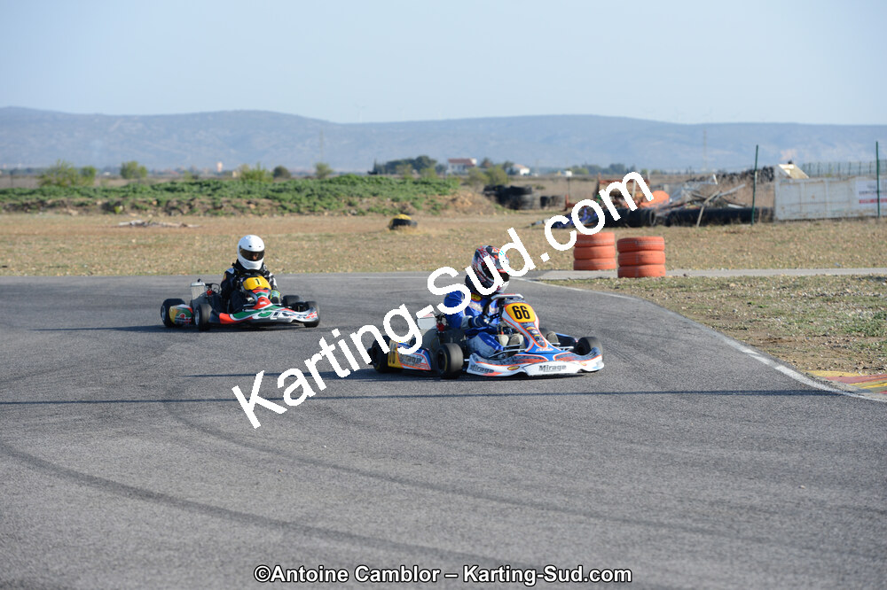 DSC_0202.jpg