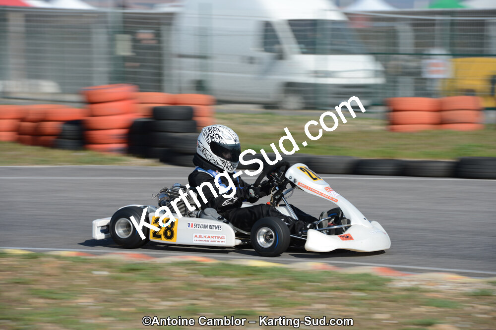 DSC_0477.jpg
