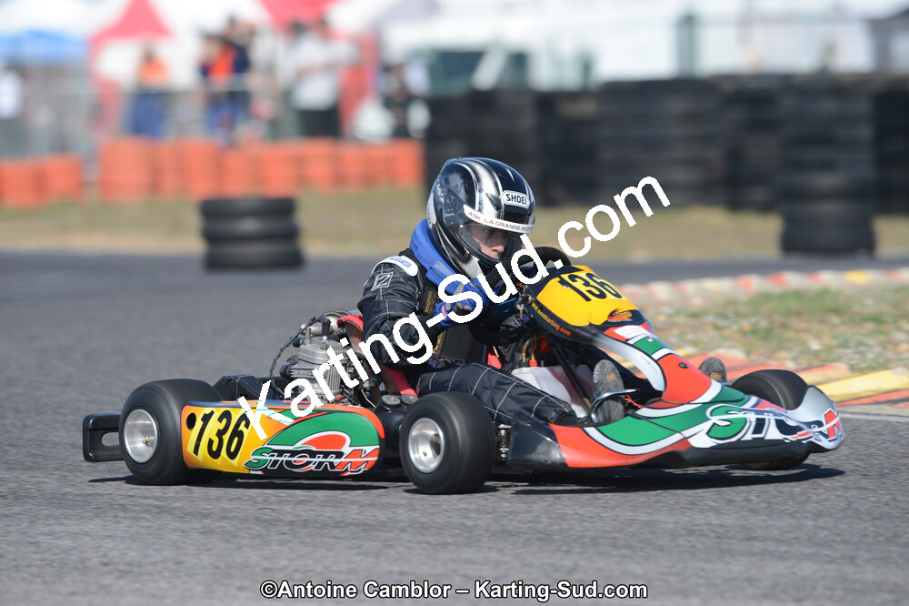 DSC_1433.jpg