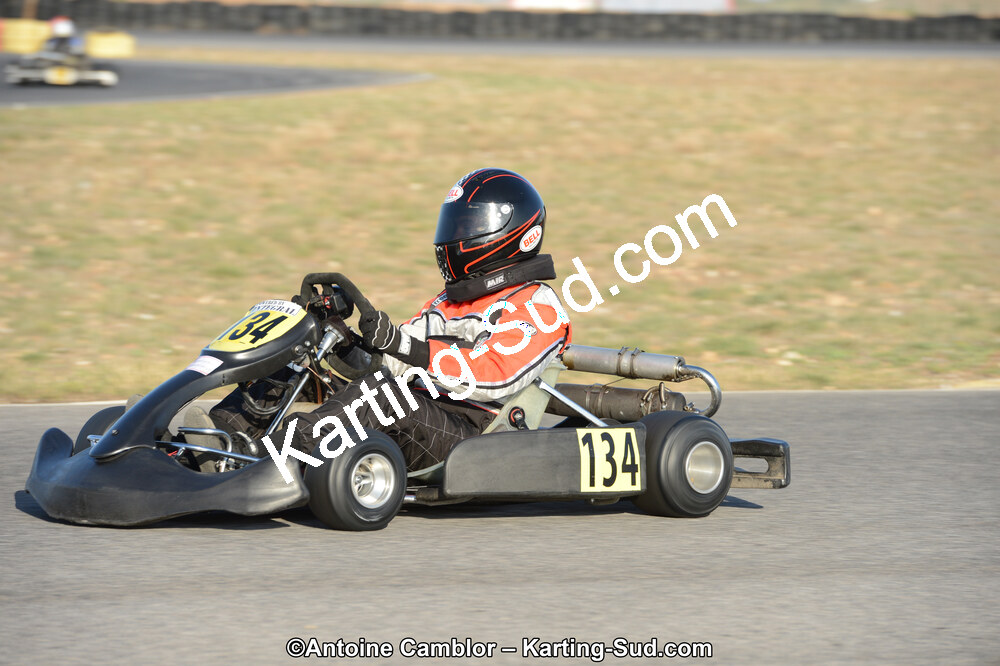 DSC_2006.jpg