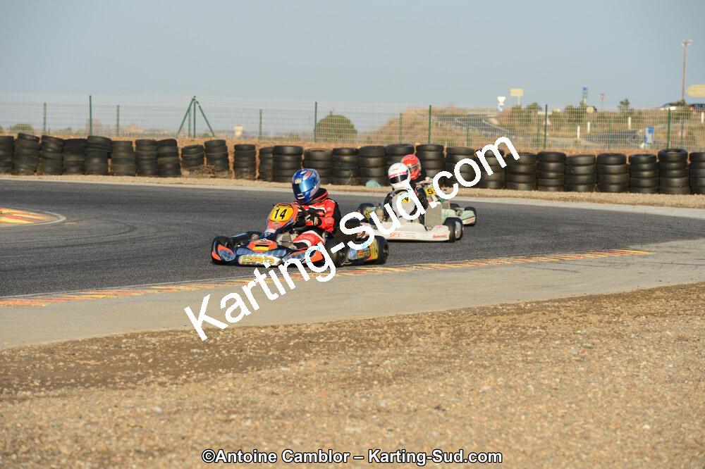 DSC_2203.jpg