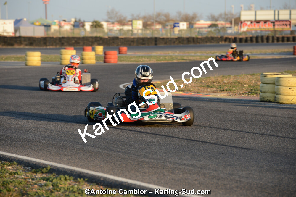 DSC_2331.jpg