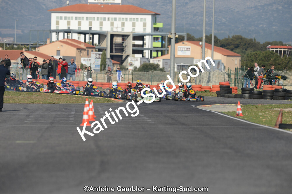 DSC_3176.jpg