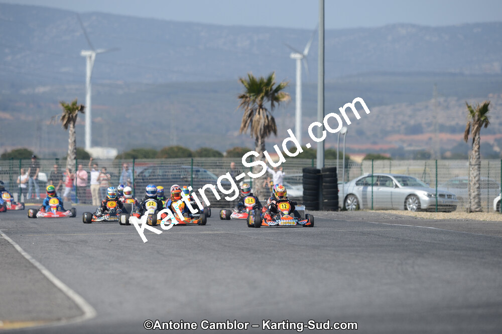 DSC_4445.jpg